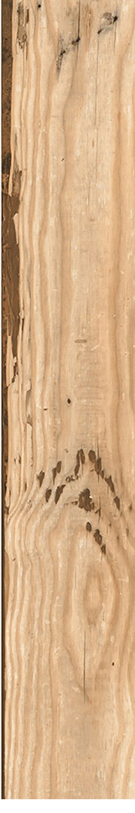 Rocky Wood
