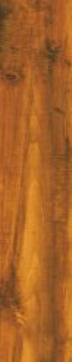 Chestnut Royale