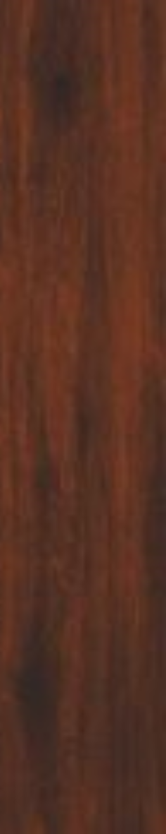 Ebony Elm
