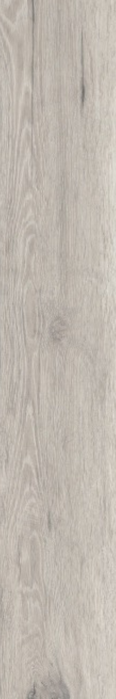 Ester Elm