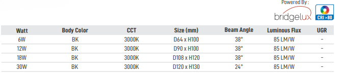 Claro IP Rated LED Surface Light