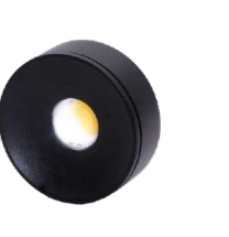 Bella IP Rated LED Surface Light