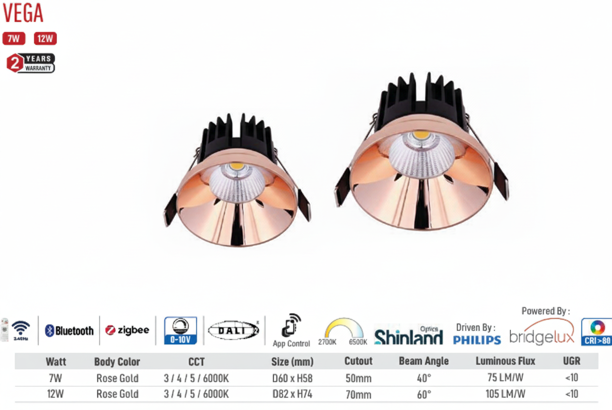 Vega LED Downlight