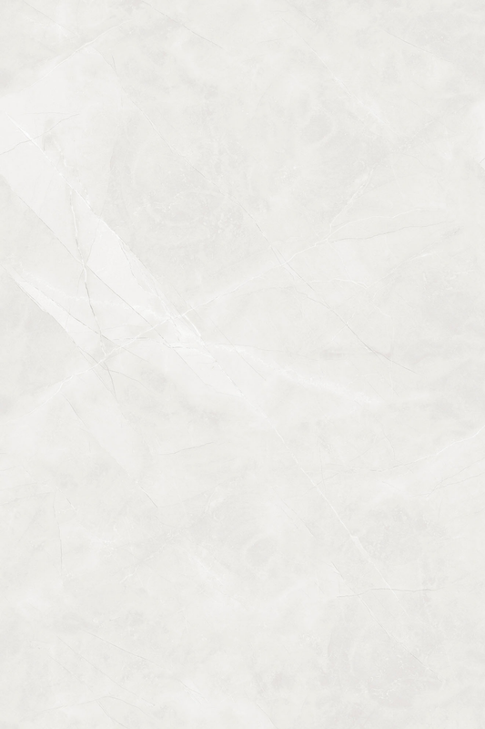 Silky Arezzo