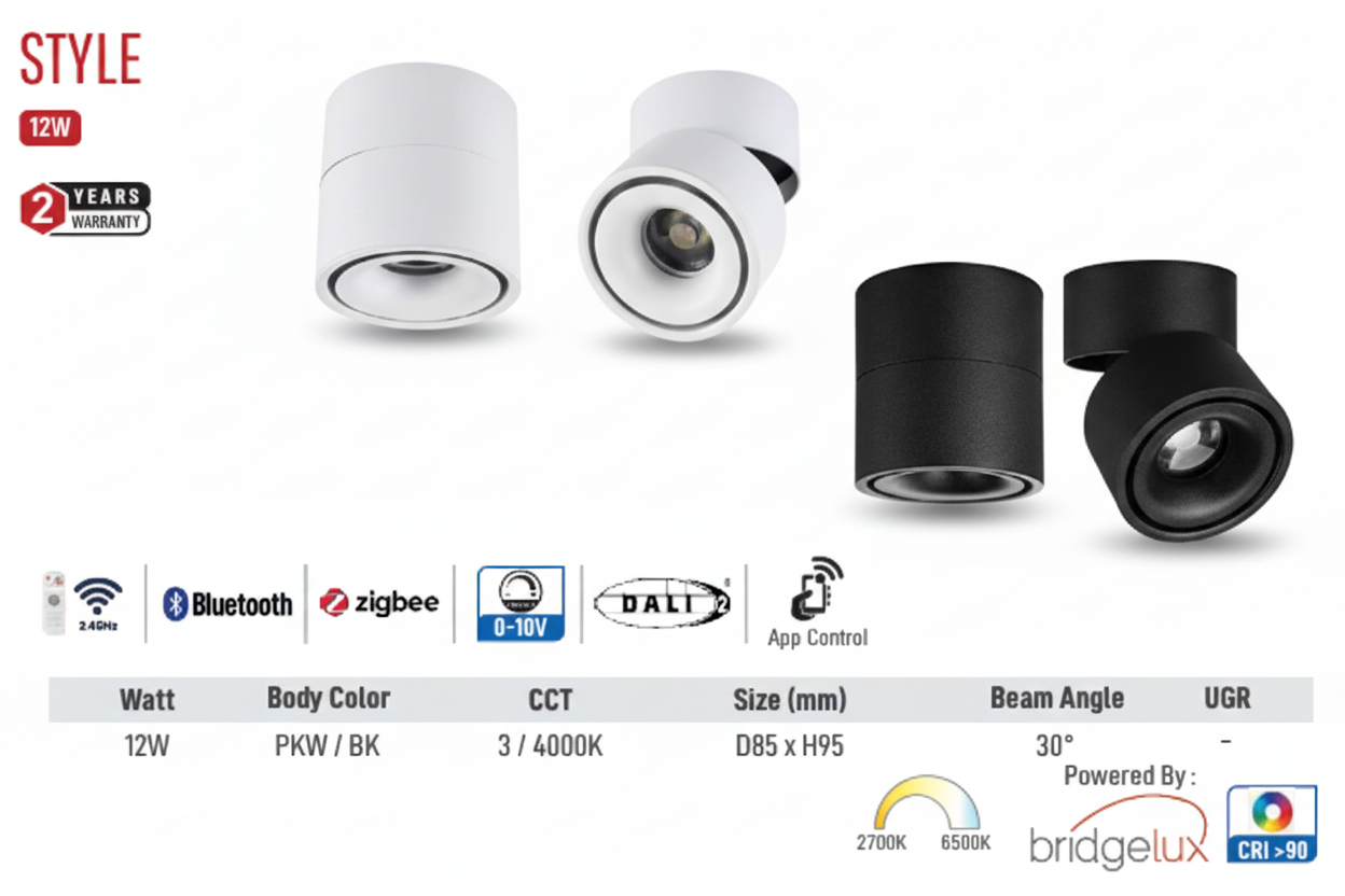 Style LED Surface Light