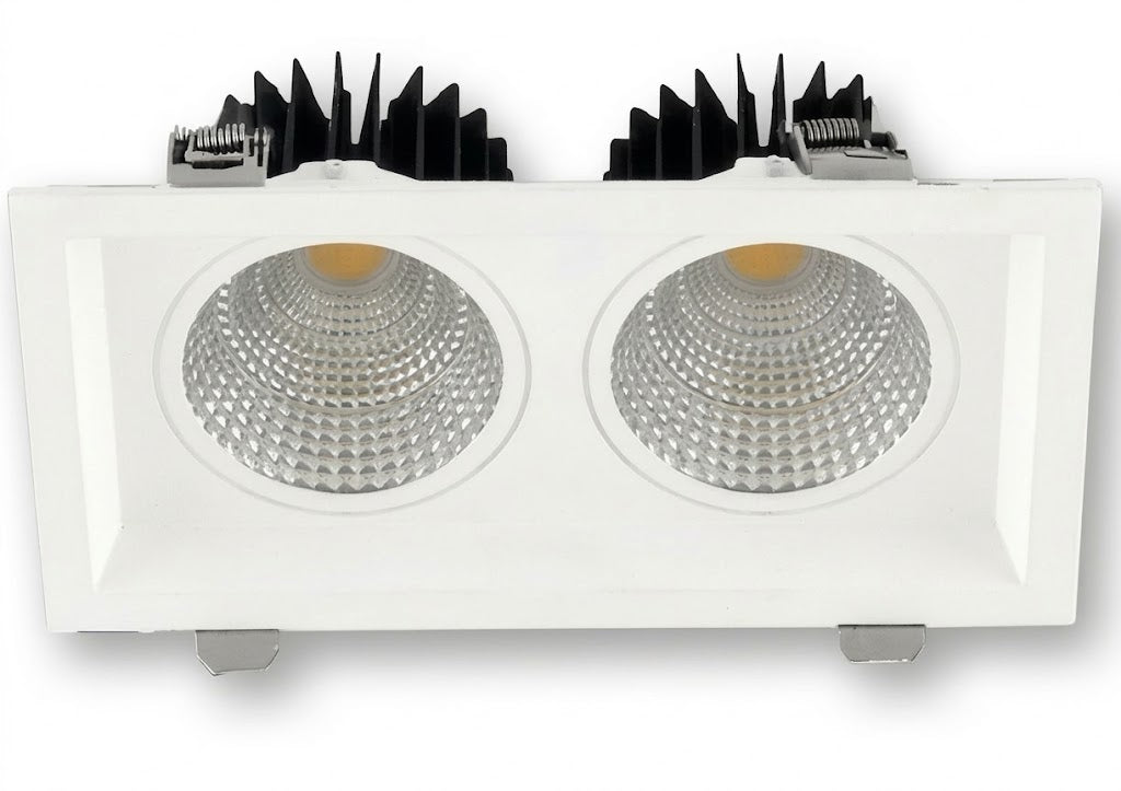 Swop DUO LED DownLight