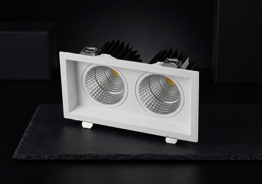 Swop DUO LED DownLight