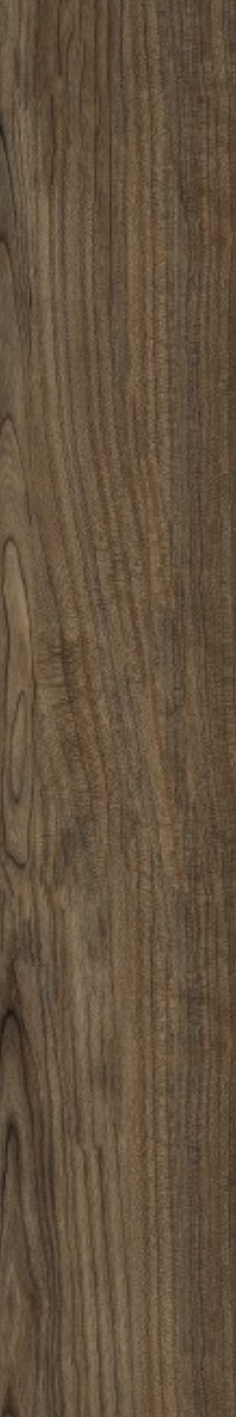 Jupiter Wenge