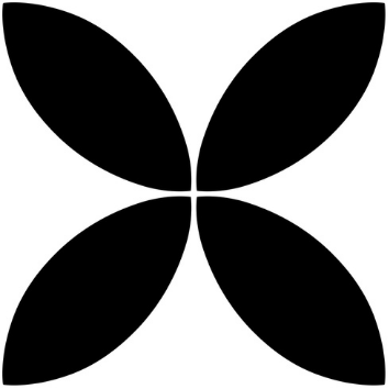 Black Tulip