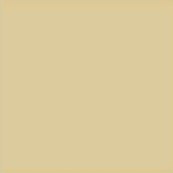 Plain Mustard