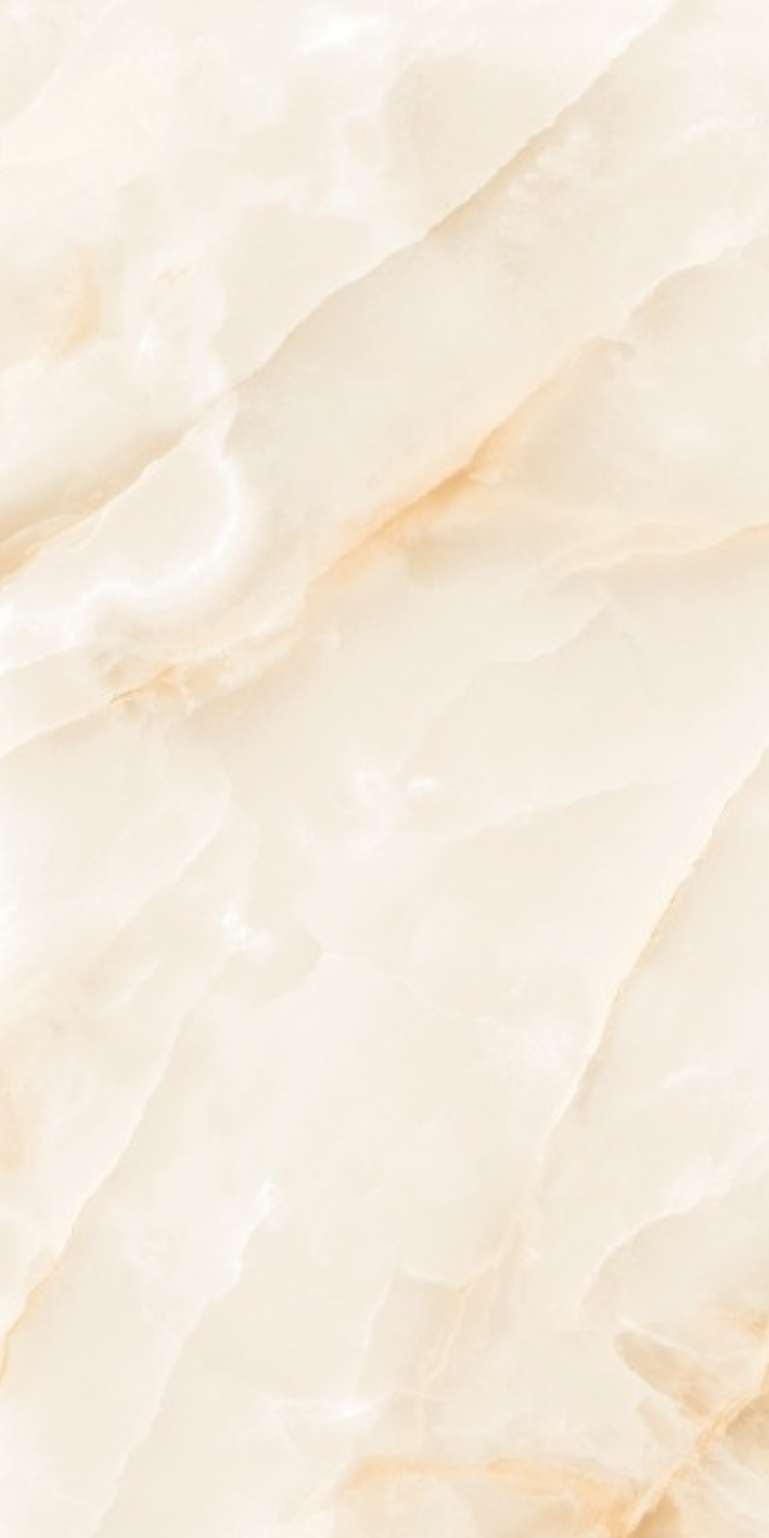 Oyster Shell