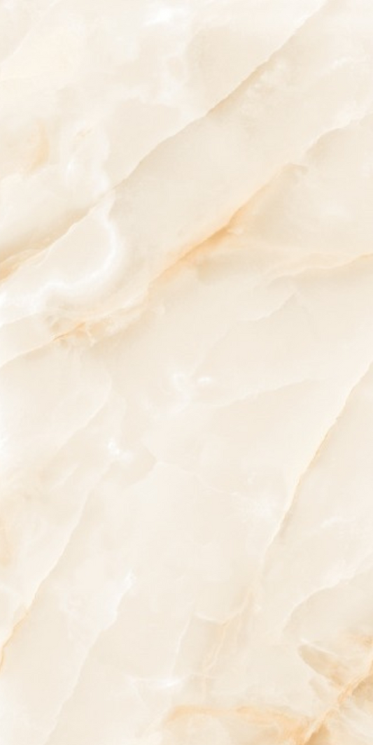 Oyster Shell