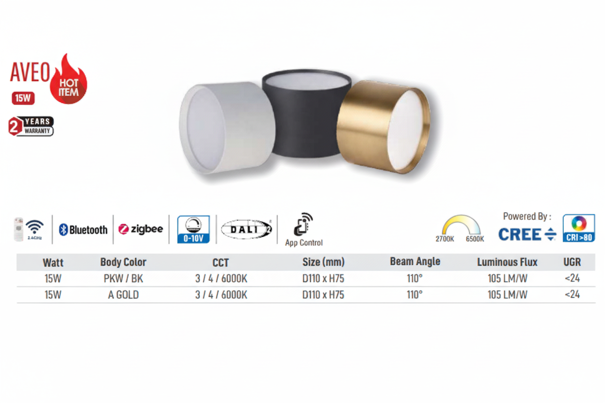 Aveo LED Surface Light