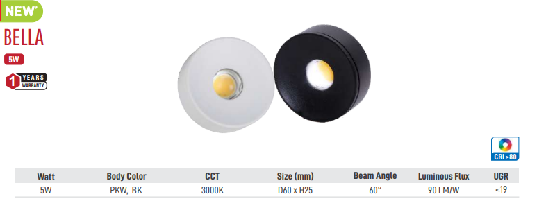 Bella IP Rated LED Surface Light