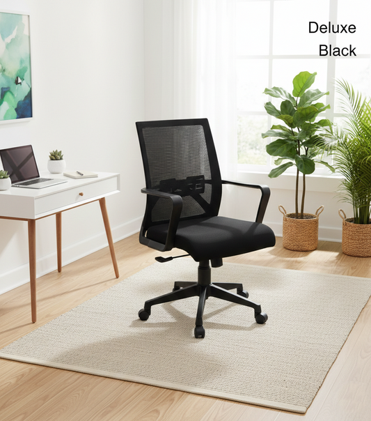 Ergonova Ergonomic Chair